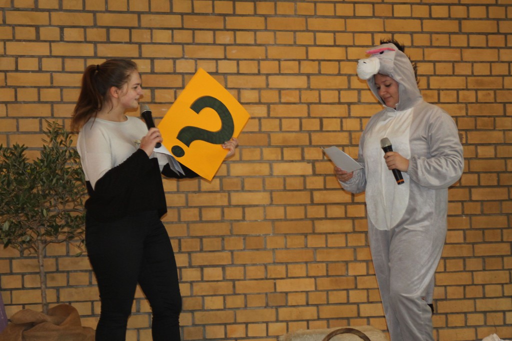 KiBiWo2016 Frag die Eselin Athon